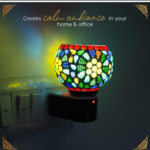 Premium Ceramic Kapur Dani